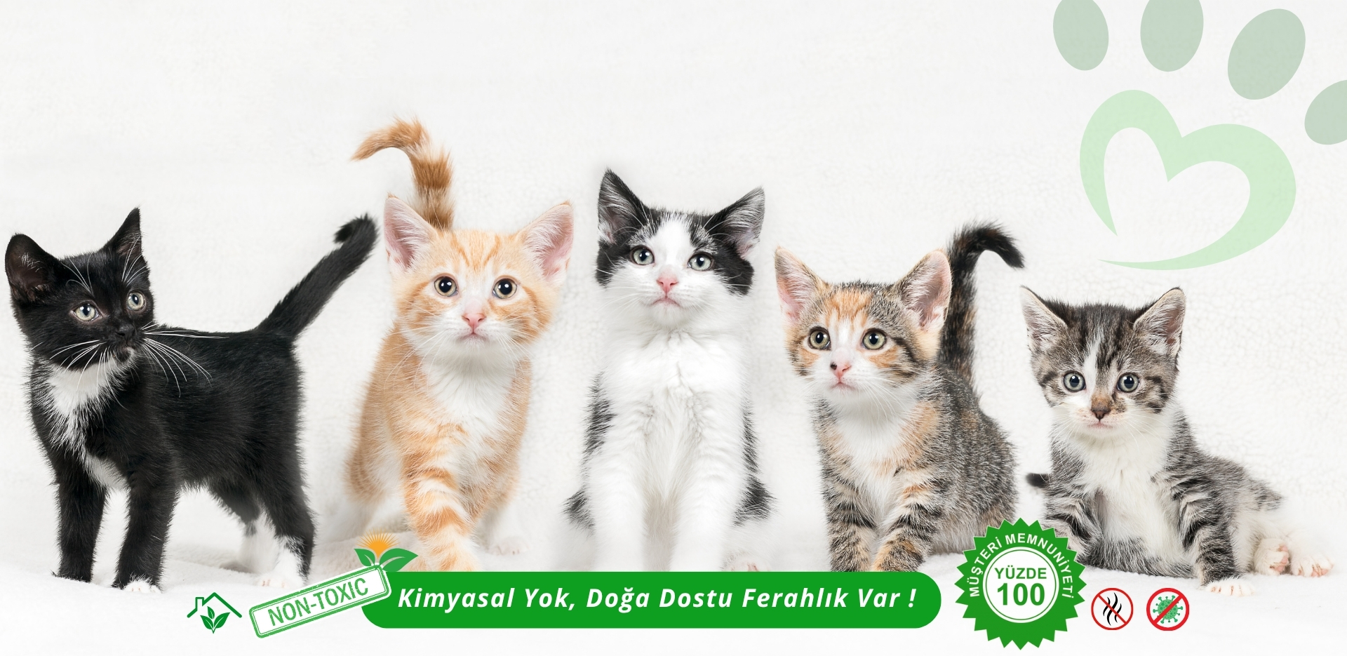 Minik dostlarımıza özel